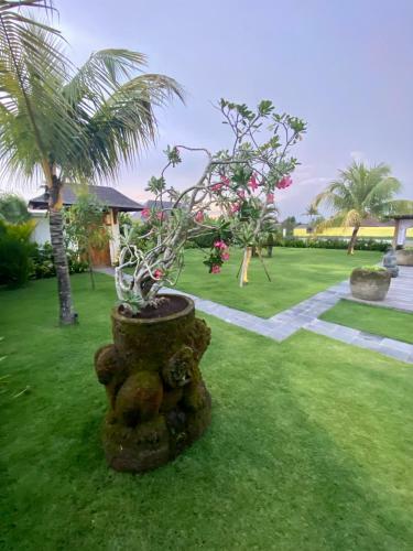 Bed & Breakfast Villa Karma Kama