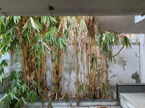 Hostal Santhosh Ayurvidhana Resort