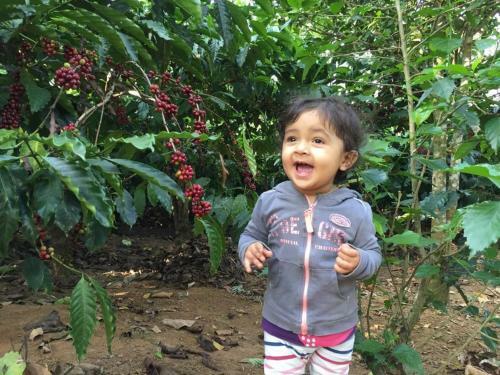 Agroturismo Mountain Mist Nature Stay Of Coorg