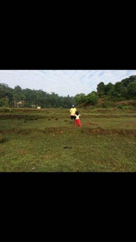 Agroturismo Mountain Mist Nature Stay Of Coorg
