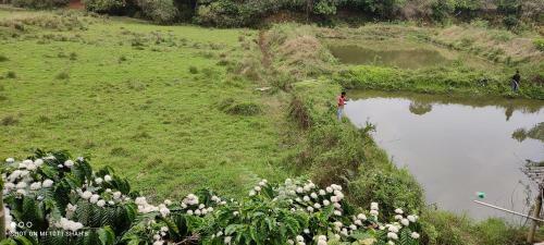 Agroturismo Mountain Mist Nature Stay Of Coorg