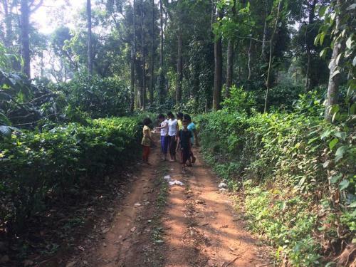 Agroturismo Coorg Estate Stay