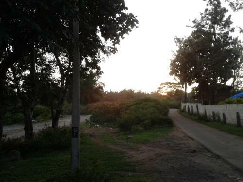 Wildways Mudumalai Homestay