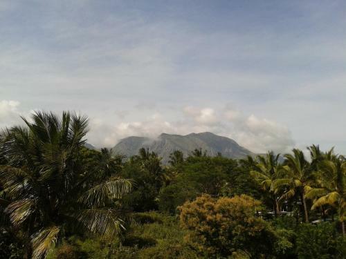 Wildways Mudumalai Homestay