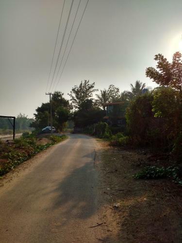 Wildways Mudumalai Homestay