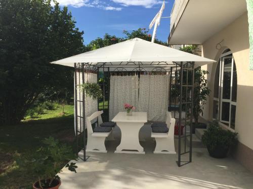 Apartamentos Palm Tree