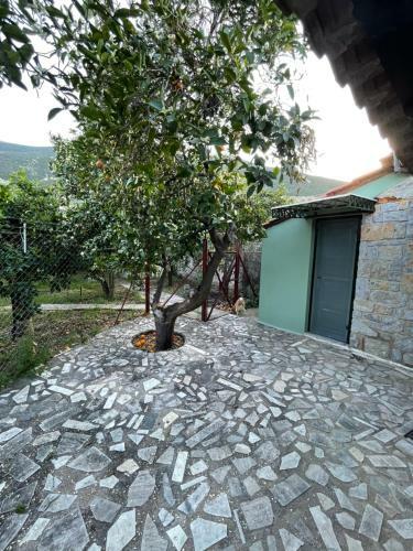 Villa Citrus Garden