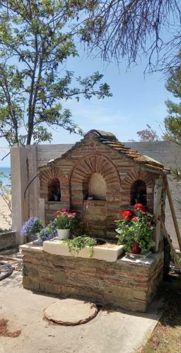 Hostal Seaside Kastamoniti Nikiti "pine&sea"