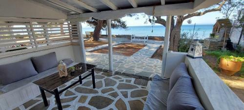Hostal Seaside Kastamoniti Nikiti "pine&sea"