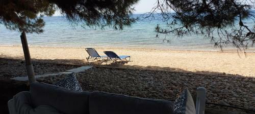 Hostal Seaside Kastamoniti Nikiti "pine&sea"
