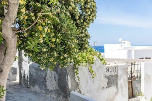 Apartamento Alkara Top