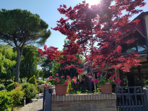 Hotel Classensis