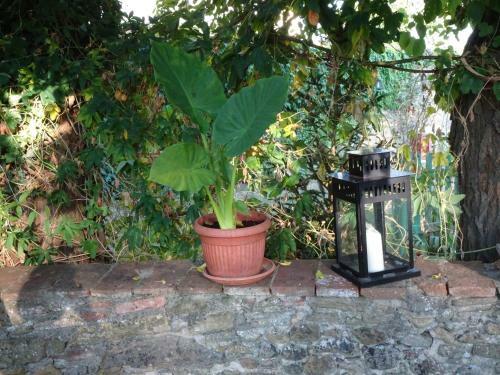 Apartamento Orto Di Cornelio