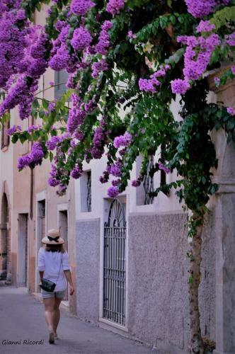 Hotel Garn� Bartabel