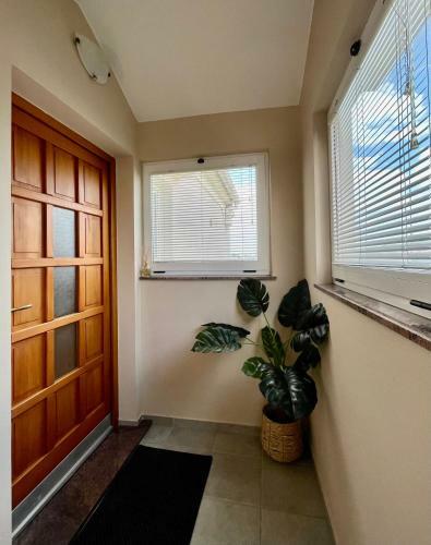 Apartmani Tino I Leon
