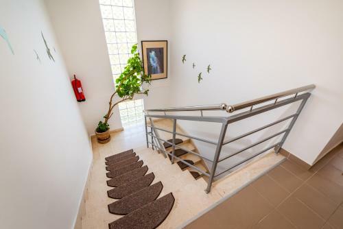 Apartamento Villa Sunce