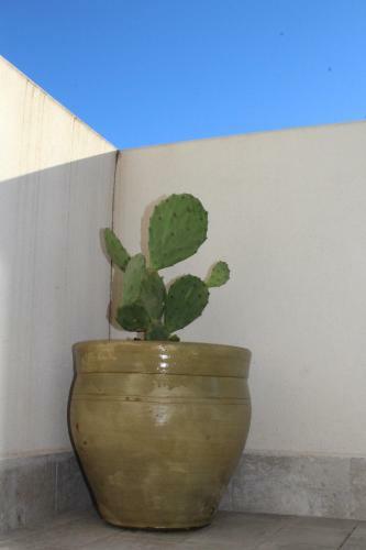 Apartamento Lo Scacciapensieri