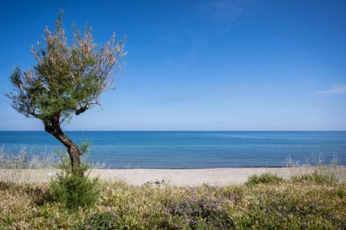 Incanto B&B Cefal�