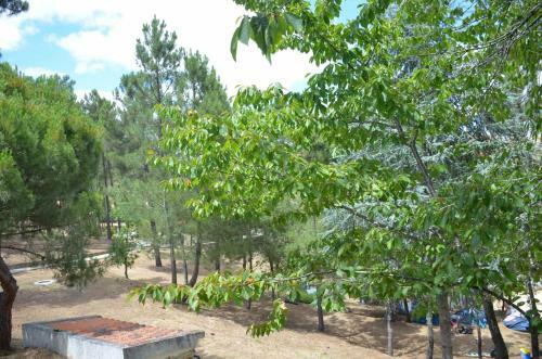 Parque De Campismo Da Barragem Do Vilar