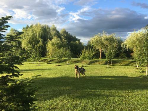 Cabana Paradisul Verde Neamt