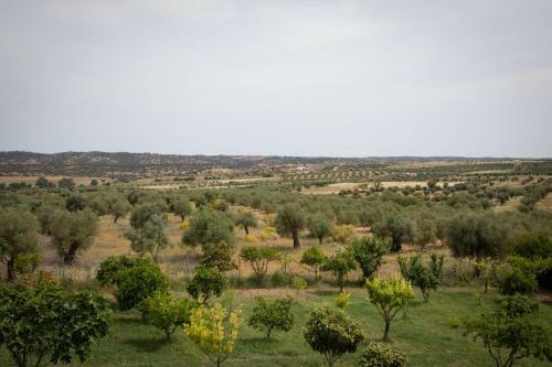 Agroturismo Passo Do Lobo - Turismo Rural