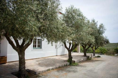 Agroturismo Passo Do Lobo - Turismo Rural