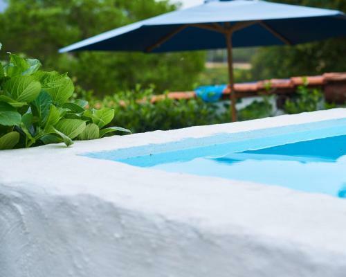 Villa �picos House