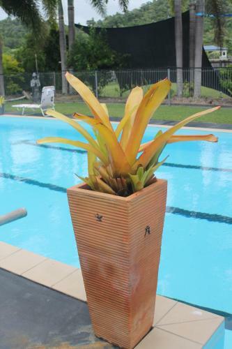 Agroturismo Beach Bum Retreat