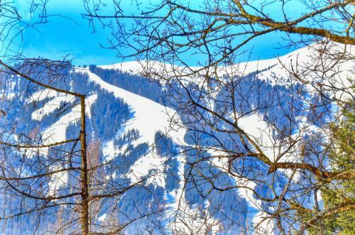 Chalet Cara By Alpen Apartments