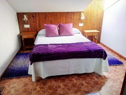 Apartamento Rural El Ovio 5
