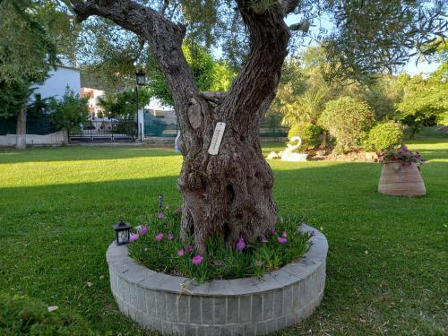 Apartamento Palais De Fourka