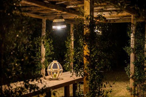 Bed & Breakfast Casale Delle Lavande
