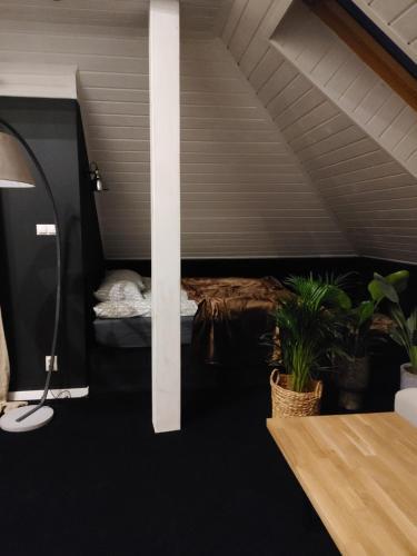 Apartament Lipowa 3