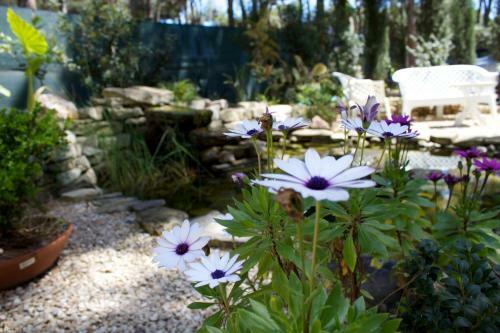 B&B La Villetta