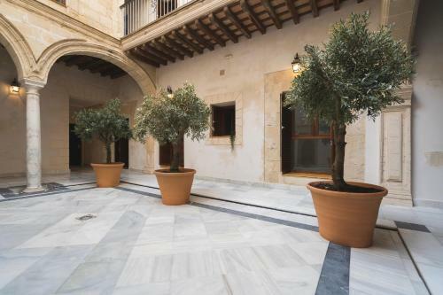 Apartamento Casa Palacio Sur