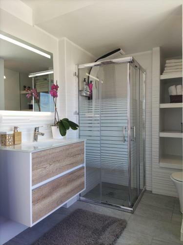 Apartamento �tico Orqu�dea