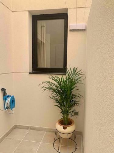 Apartamento Yellow Sail M�dano 2 Dormtiorios Con Parking