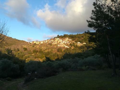 Apartamento Eden View