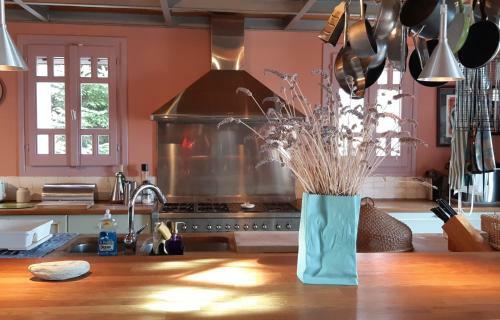 Villa Tsagkarada Country Estate With Pool