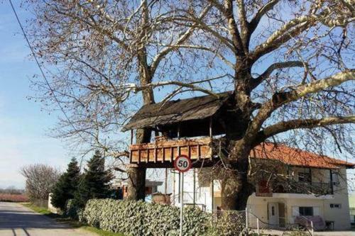 Remarkable 2-bedroom House In Veroia