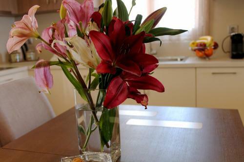 Apartamento Thomas Sea View