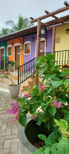 Hostal Buganv�lia Pousada & Bistr�