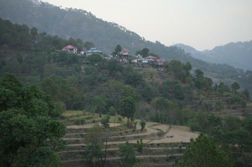 Bed & Breakfast The Magpie Kasauli