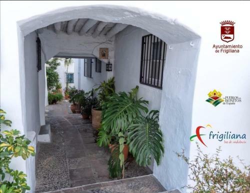 Apartamento La Alegr�a Del Sur