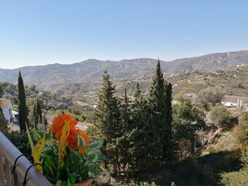 Apartamento La Alegr�a Del Sur