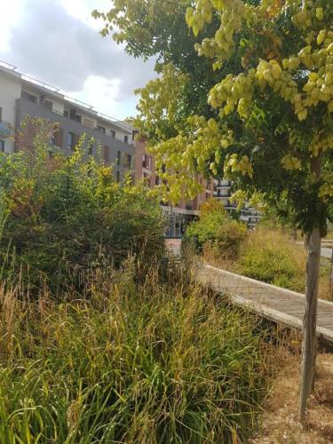 Apartamento Cergy Centre Ville