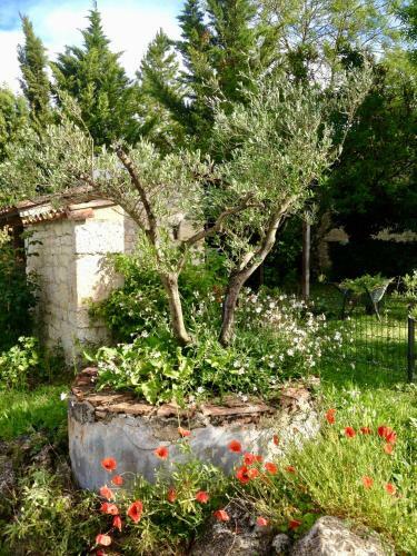 Bed & Breakfast Villa Mas
