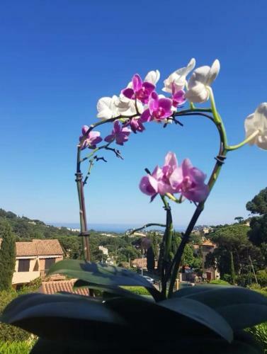 Apartamento Hameau Du Soleil