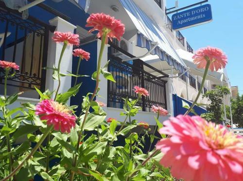 Apartamento Budget Hotel Asimina Laganas