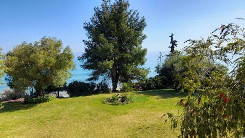 Apartamento Olive Seaside Studio